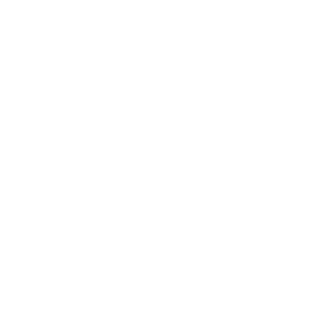 Compliance Safe