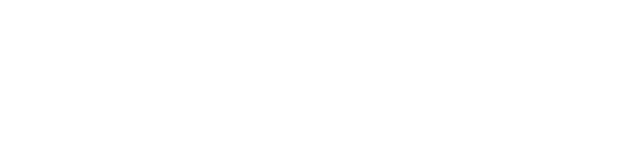Meticulon